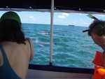 les dauphins sont venus nous rendre visite dans le lagon